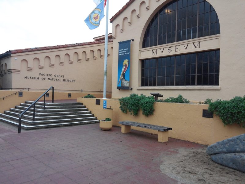 California Native Plant Society Meeting